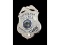 Obsolete Patrolman Police Bedford Park IL Badge
