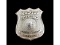 Obsolete Deputy Sheriff Steuben County CA Badge