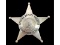 Obsolete Cook County Special Deputy Sheriff Badge
