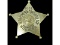 Obsolete Dept of Constabulary Bureau Badge