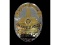 Obsolete Police Officer Los Angeles Police Badge