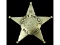 Obsolete Will County IL Deputy Sheriff Badge 39
