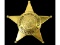 Obsolete Thorton Township IL Sergeant Police Badge