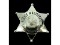 Obsolete Carpentersville Police Magistrate Badge