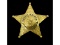 Obsolete Franklin Park IL Police Matron Badge