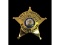 Obsolete Ass't Supervisor Deputy Chief IL Badge