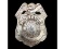 Obsolete Constable Wisconsin Badge
