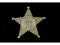 Obsolete Ranger DuPage Forest Preserve Badge