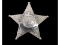 Obsolete McLean County IL Deputy Sheriff Badge