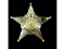 Obsolete Lee County IL Bailiff Badge