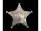Obsolete Cook County Deputy Sheriff Badge Special