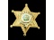 Obsolete Sahara Tahoe Security Badge Nevada