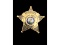 Obsolete Sergeant Sugar Grove IL Police Badge