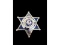 Obsolete Patrolman City of Galesburg IL Badge