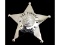 Obsolete Oak Forest Police Badge