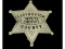 Obsolete Livingston Deputy Sheriff County Badge