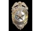 Obsolete Special Dep Officer Police Badge