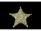 Obsolete Deputy Sheriff Kane County IL Badge