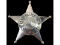 Obsolete Richton Park Police Badge 103