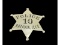 Obsolete Police Batavia Illinois Police Badge
