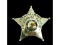 Obsolete Crestwood IL Police Patrolman Badge