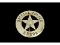 Obsolete Special Police Genoa Badge