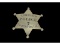 Obsolete Township Police Thornton IL Badge