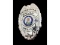 Obsolete Patrolman Shiloh Police IL Badge