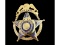 Obsolete Captain Deputy Sheriff McHenry Badge