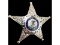 Obsolete Sergeant Fox River Valley Garden IL Badge