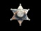 Obsolete Winnebago County Junior Deputy Badge