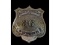 Obsolete Kaiser Company Inc Guard Badge