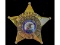 Obsolete Sergeant Forest Park Police IL Badge