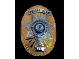 Obsolete Illinois Burglary Task Force Police Badge