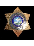 Obsolete California Hotel Casino Security Badge