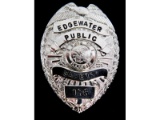 Obsolete Edgewater Public Safety IL Badge
