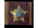 Obsolete Trustee Village of Addison Illinois Badge