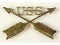 Indian War Era United States Scouts Cap Device
