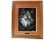 Framed Print of a Timber Wolf