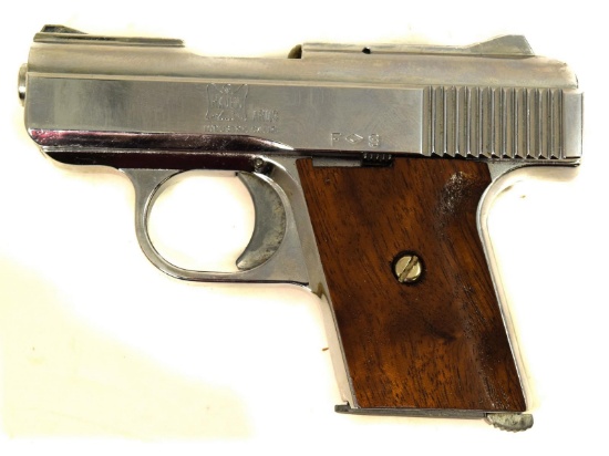 Raven Arms MP 25 Pistol