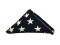 US 48 Star Flag