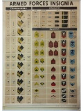 WWII Army Air Force Insignia Poster