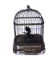 Vintage Singing Bird Cage Music Box