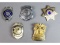5 Police/Emergency Badges