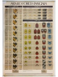 WWII Army Air Force Insignia Poster
