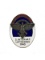 WWII German 1940 Enameled NSFK Badge
