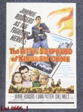 The Little Shepherd of Kingdom Come Movie Poster