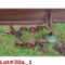 Misc. Train Parts & Axles