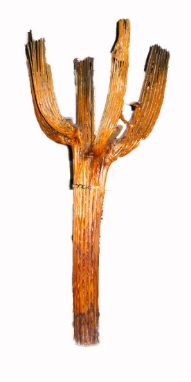 Large 12' Saguaro Cactus Skeleton