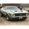 1971 Ford Mustang Mach 1